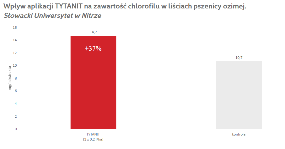 Wpływ stosowania TYTANIT w zabiegu T2 na zawartość chlorofilu w liściach pszenicy ozimej.
