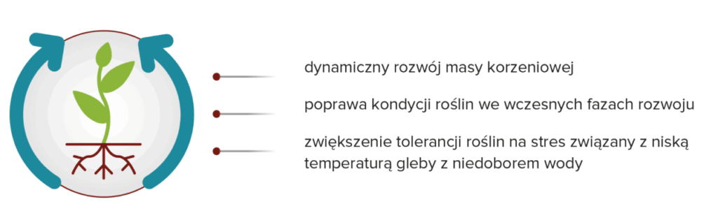 ROOTSTAR® – zalety stosowania