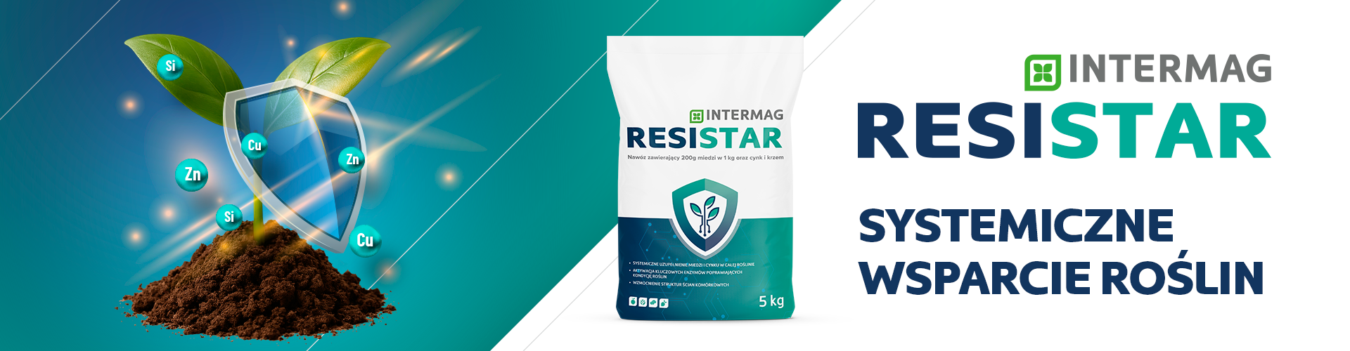 INTERMAG RESISTAR