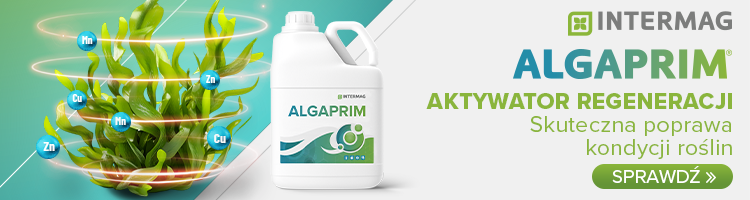 ALGAPRIM SPRAWDŹ