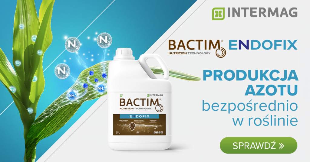 BACTIM® ENDOFIX - produkcja azotu bezpośrednio w roślinie