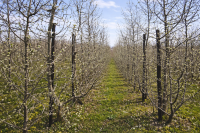 ChatGPT Image 15 kwi 2026, 10_09_45