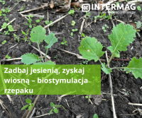 Jesienna biostymulacja Jesienna biostymulacja