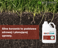 Silne korzenie to podstawa zdrowej i plonującej uprawy.
