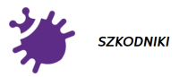 Zrzut ekranu 2024-08-11 092217