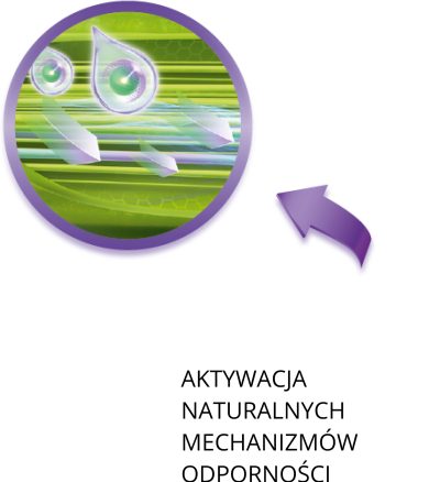circle1